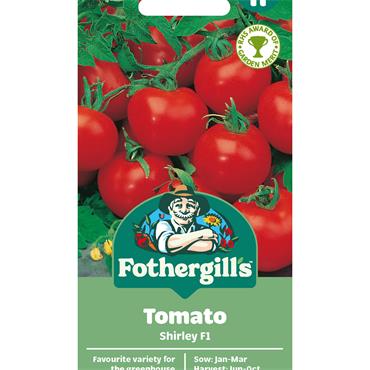 TOMATO SHIRLEY F1