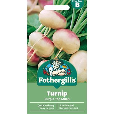 TURNIP PURPLE TOP MILAN