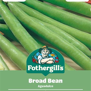 BROAD BEAN AGUADULCE
