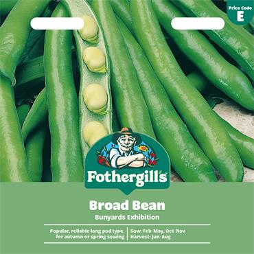 BROAD BEAN BUNYARDS EXHIBITION