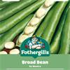 BROAD BEAN DE MONICA