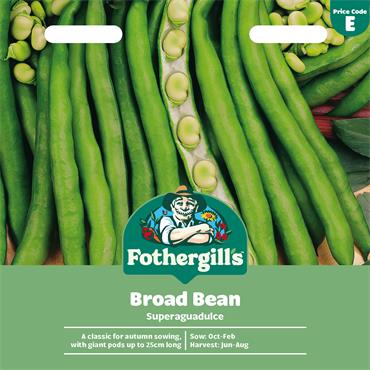 BROAD BEAN SUPERAGUADULCE
