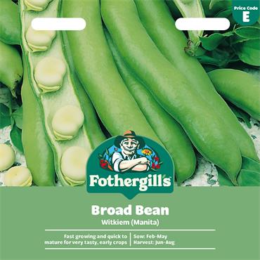 BROAD BEAN WITKIEM (MANITA)