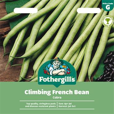 CLIMBING FRENCH BEAN COBRA