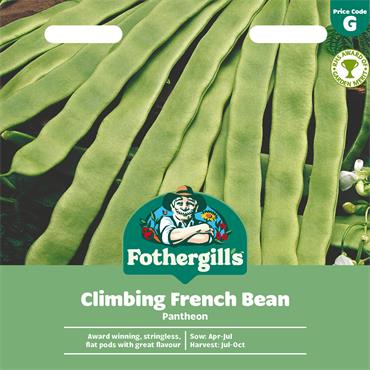 CLIMBING FRENCH BEAN PANTHEON