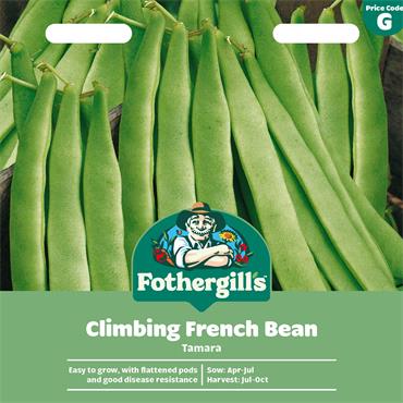 CLIMBING FRENCH BEAN TAMARA