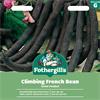 CLIMBING FRENCH BEAN VIOLET PODDED