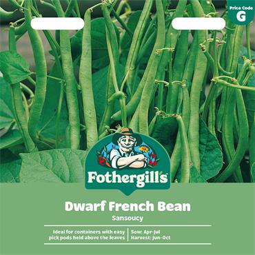 DWARF FRENCH  BEAN SANSOUCY