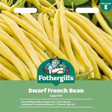 DWARF FRENCH BEAN CALA D'OR