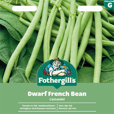 DWARF FRENCH BEAN CASTANDEL