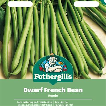 DWARF FRENCH BEAN RONDO