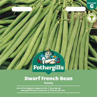 DWARF FRENCH BEAN STANLEY
