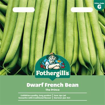 DWARF FRENCH BEAN THE PRINCE