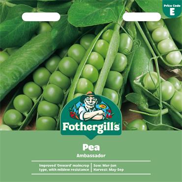 PEA AMBASSADOR
