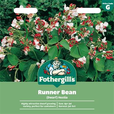RUNNER BEAN (DWARF) HESTIA