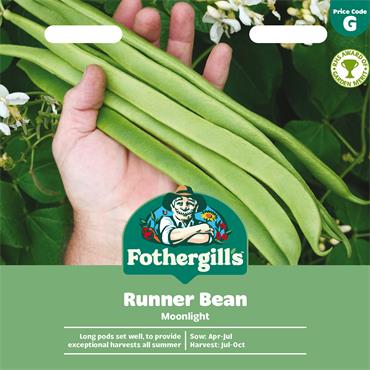 RUNNER BEAN MOONLIGHT