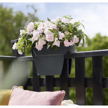 ELHO VIBIA CAMPANA FLOWER BRIDGE 40CM ANTHRACITE