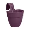 ELHO VIBIA CAMPANA EASY HANGER SMALL MAPLE PURPLE