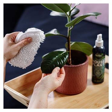 HOUSEPLANT MIST & LEAF SHINE