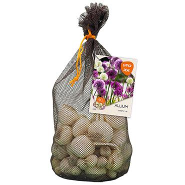 ALLIUM VARIETY MIXED X 40