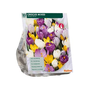 CROCUS MIX X 30