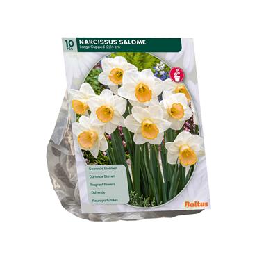 NARCISSUS SALOME X 10