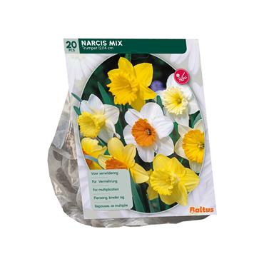 NARCISSUS TROMPET MIX X 15