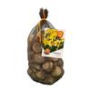 NARCISSUS YELLOW MIX X 40