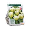 TULIP DOUBLE EARLY WHITE VALLEY X 10