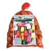 TULIPA DARWIN MIX  X 40
