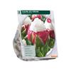 TULIPA ICE CREAM X 5