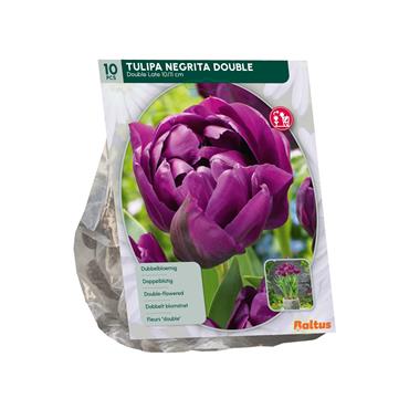 TULIPA NEGRITA DOUBLE X 10