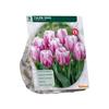 TULIPA OHIO TRIUMPH X 9
