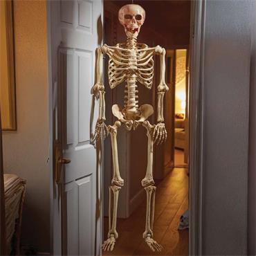 SMART GARDEN HALLOWEEN SKELETON BONES