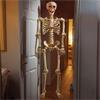 SMART GARDEN HALLOWEEN SKELETON BONES