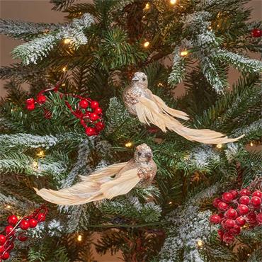 THREE KINGS GLITTERBIRD - GOLD 2PK