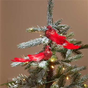 THREE KINGS GLITTERBIRD - RUBY 2PK