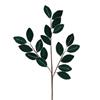 GISELA GRAHAM GREEN VELVET LEAF SPRAY