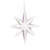 FLORALSILK IRIDESCENT STAR ORNAMENT 12CM