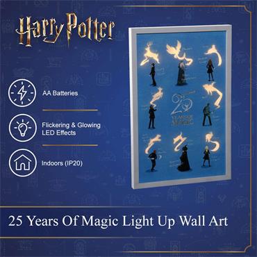 NOMA HARRY POTTER PATRONUS LIGHT UP WALL ART