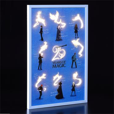 NOMA HARRY POTTER PATRONUS LIGHT UP WALL ART