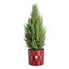 ELHO CHRISTMAS CRANBERRY RED POT 15CM