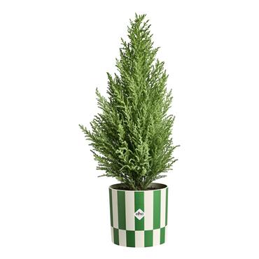 ELHO WHITE AND MISTLETOE GREEN POT 15CM