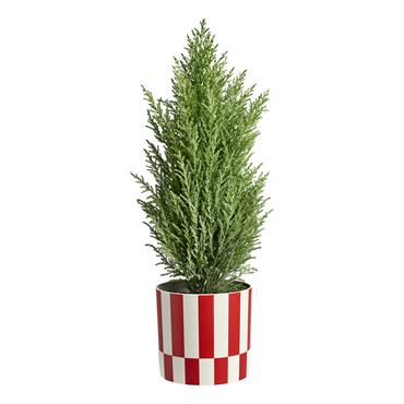 ELHO CHRISTMAS RED LINEN WHITE POT 15CM