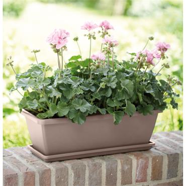 ELHO BARCELONA TROUGH TAUPE