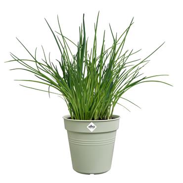 ELHO GREEN BASICS GROWPOT STONE GREEN