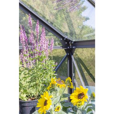 PHOENIX 8' X 10' GLASSHOUSE 8300