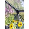PHOENIX 8' X 10' GLASSHOUSE 8300