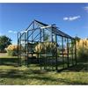 PHOENIX 8' X 10' GLASSHOUSE 8300