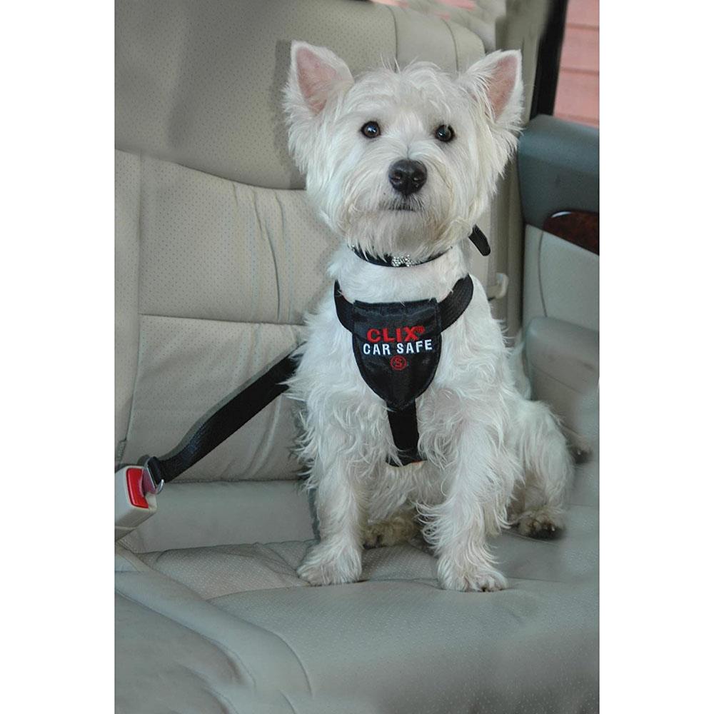 Company of Animals Clix Car Safe Dog Harness Small (Dog Seatbelt